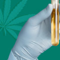 Can Hemp or CBD Show Up in Urine Tests?